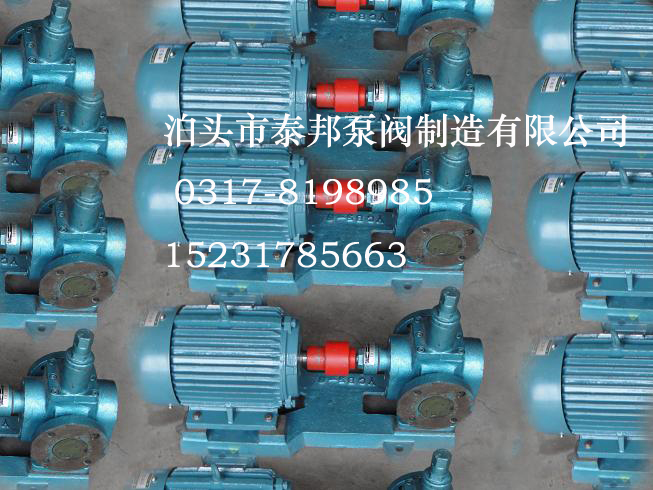 YHB齿轮泵YHB900-0.6L